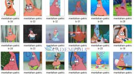 Mentahan Stiker Patrick WA Polosan / Tanpa Tulisan