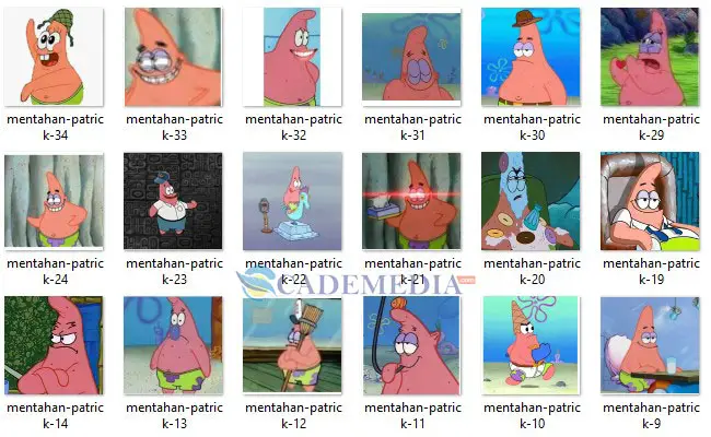 Stiker patrick wa