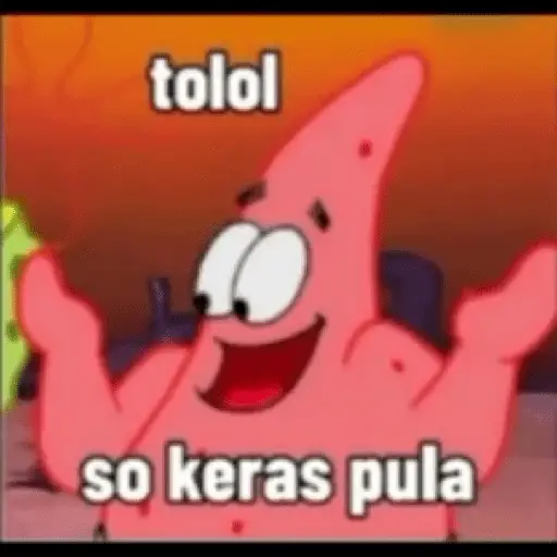 Stiker Patrick Sindiran : Tolol So keras pula