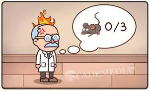 Profesor marah karena ulah tikus