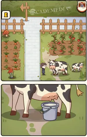 Memerah susu sapi