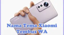 Nama Tema Xiaomi Tembus WA (MIUI 8, 9, 10, 11, & 12)