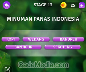 Kunci Jawaban Teka-Teki Kata Stage 13