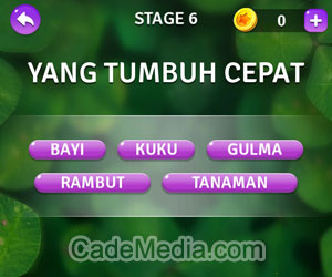 Kunci Jawaban Teka-Teki Kata Stage 6