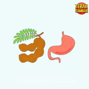 Kunci Jawaban Tebak Gambar Level 64 Nomor 1