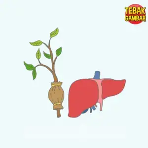 Kunci Jawaban Tebak Gambar Level 81 Nomor 6