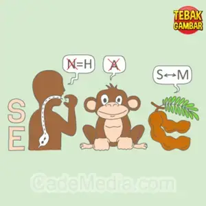 Kunci Jawaban Tebak Gambar Level 87 Nomor 3