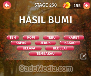 Kunci Jawaban Teka-Teki Kata Stage 230