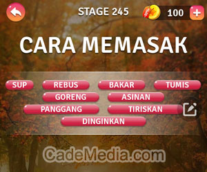 Kunci Jawaban Teka-Teki Kata Stage 245