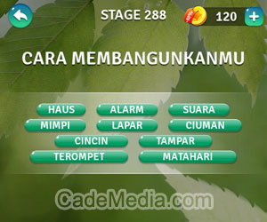 Kunci Jawaban Teka-Teki Kata Stage 288