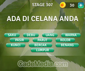 Kunci Jawaban Teka-Teki Kata Stage 307