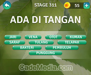 Kunci Jawaban Teka-Teki Kata Stage 311