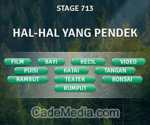 Kunci Jawaban Teka-Teki Kata Stage 713