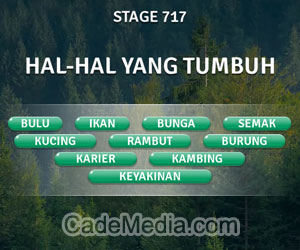 Kunci Jawaban Teka-Teki Kata Stage 717