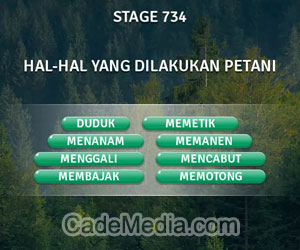 Kunci Jawaban Teka-Teki Kata Stage 734