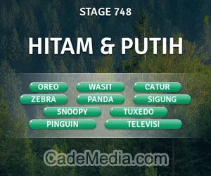 Kunci Jawaban Teka-Teki Kata Stage 748