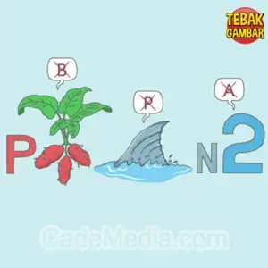 Kunci Jawaban Tebak Gambar Level 170 Nomor 5