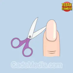 Kunci Jawaban Tebak Gambar Level 182 Nomor 6