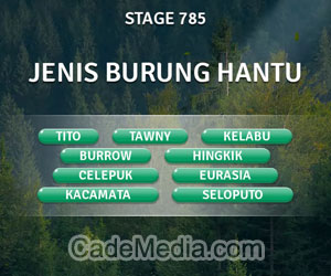 Kunci Jawaban Teka-Teki Kata Stage 785