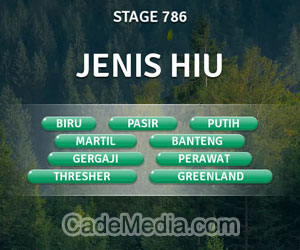 Kunci Jawaban Teka-Teki Kata Stage 786