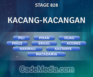 Kunci Jawaban Teka-Teki Kata Stage 828