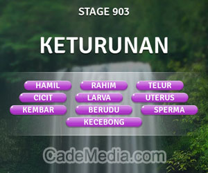 Kunci Jawaban Teka-Teki Kata Stage 903