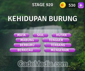 Kunci Jawaban Teka-Teki Kata Stage 920