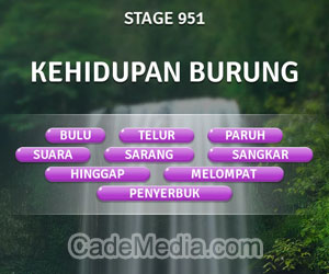 Kunci Jawaban Teka-Teki Kata Stage 951