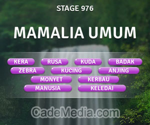 Kunci Jawaban Teka-Teki Kata Stage 976