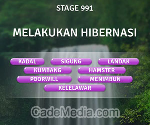 Kunci Jawaban Teka-Teki Kata Stage 991