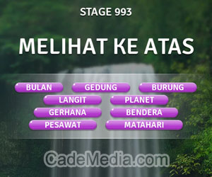 Kunci Jawaban Teka-Teki Kata Stage 993