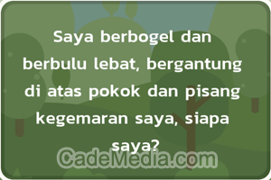 Kunci Jawaban Dentum Otak Tahap 284