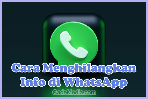 Cara Menghilangkan Info di WhatsApp Tanpa Aplikasi dan Dengan Aplikasi