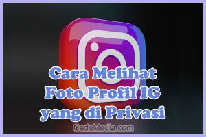 Cara Melihat Foto Profil Instagram yang di Privasi Tanpa Follow dan Tanpa Aplikasi