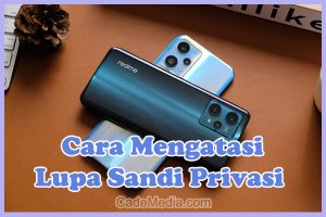 Cara Mengatasi Lupa Kata Sandi Privasi Realme