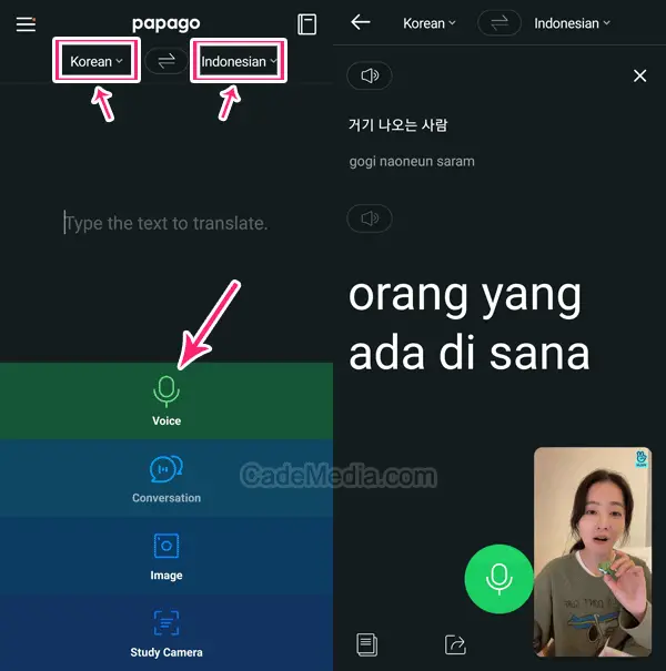 Cara Menerjemahkan dan Membuat Subtitle Weverse Live dengan Naver Papago