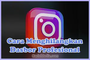 Cara Menghilangkan Dasbor Profesional di Instagram