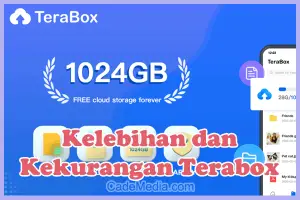 Kelebihan dan Kekurangan Terabox