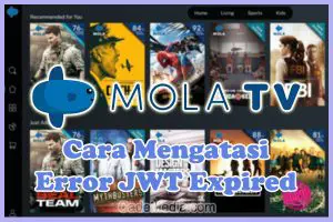 Mola JWT Expired