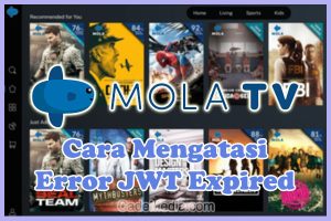 Mola JWT Expired