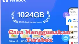 Cara Menggunakan Terabox di HP dan Laptop