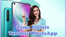 Rekomendasi Tema Tembus WA di Infinix Hot 10 Play, Hot 10s, Smart 6
