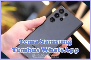 Rekomendasi Tema Tembus WA di Samsung A20s, A51, A32, A10s