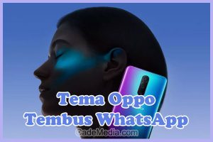 Rekomendasi Tema Tembus WA di Oppo A3s, F1s, A57, A37f, A71, A5s