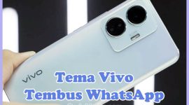 Rekomendasi Tema Tembus WA di Vivo Z1 Pro, Y12, Y20
