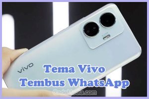 Rekomendasi Tema Tembus WA di Vivo Z1 Pro, Y12, Y20