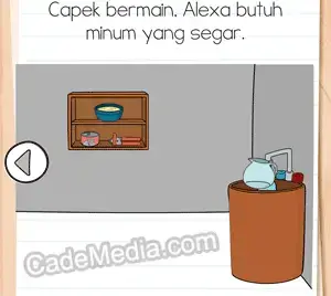 Kunci Jawaban Brain Test 3 Level 223