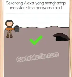 Kunci Jawaban Brain Test 3 Level 265