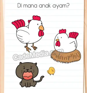 Kunci Jawaban Brain Test 3 Tantangan Sulit: Di mana anak ayam?