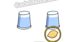 Kunci Jawaban Brain Out Cari Cari Cari Level 28